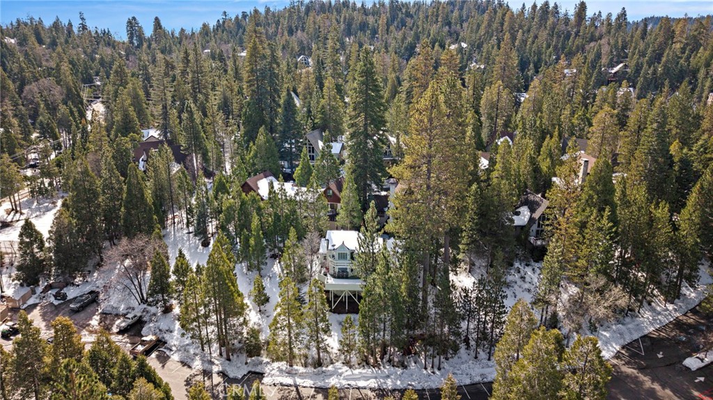 180 Grass Valley Road, Unit 20 Lake Arrowhead, CA 92352 - Photo 58 of 67
