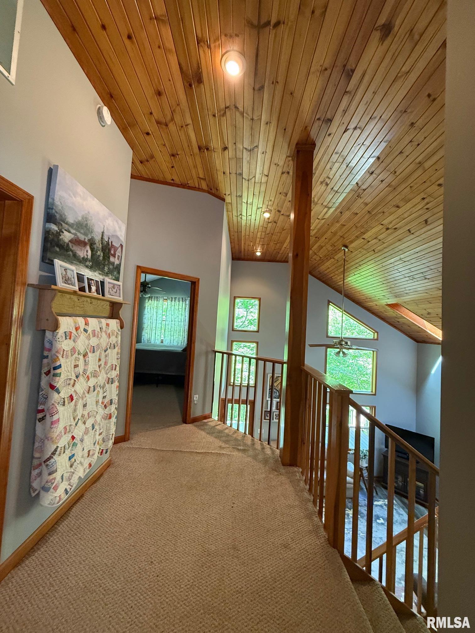 2368 Watt Hill Road Murphysboro, IL 62966 - Photo 21 of 40