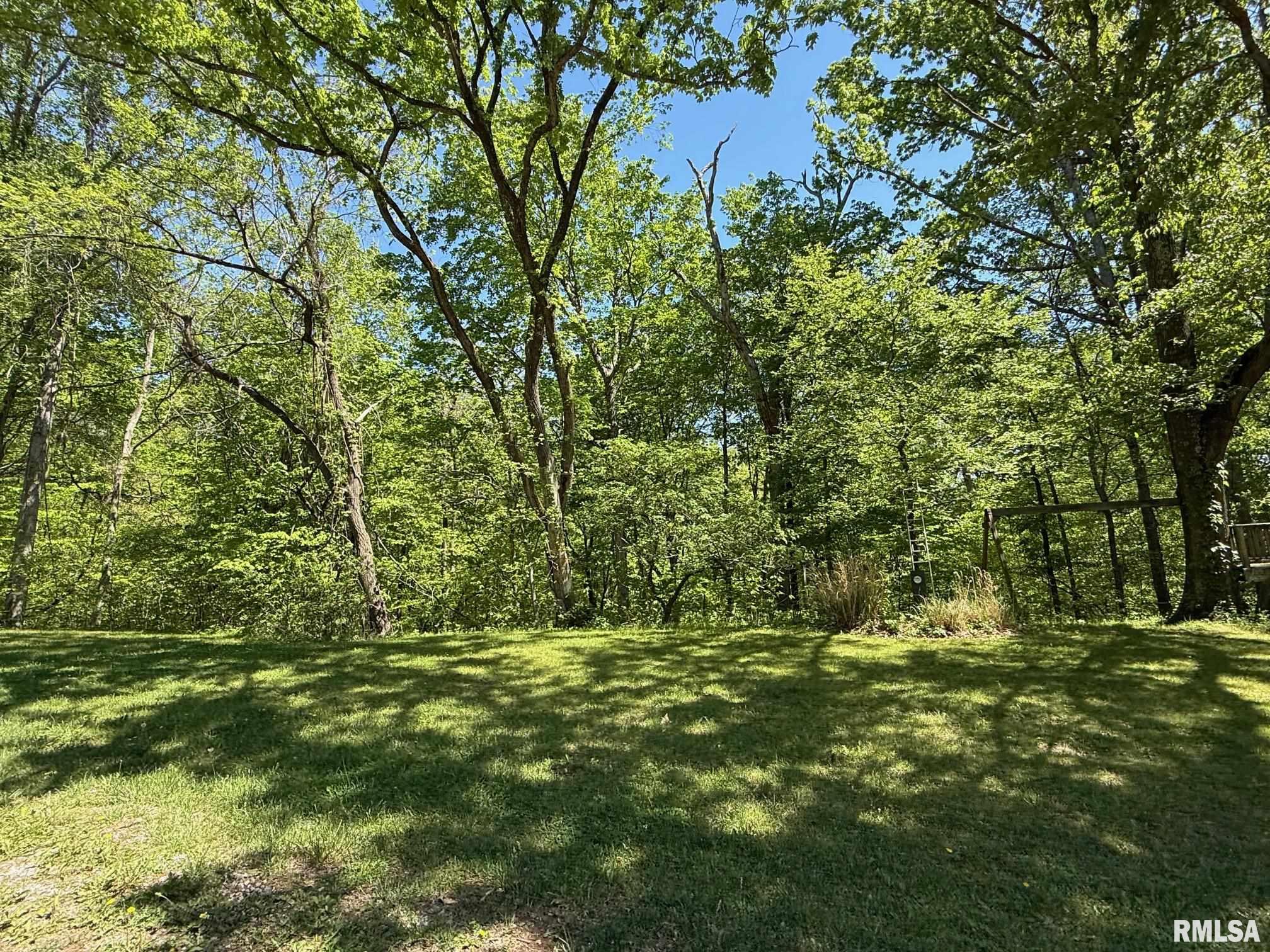 2368 Watt Hill Road Murphysboro, IL 62966 - Photo 34 of 40