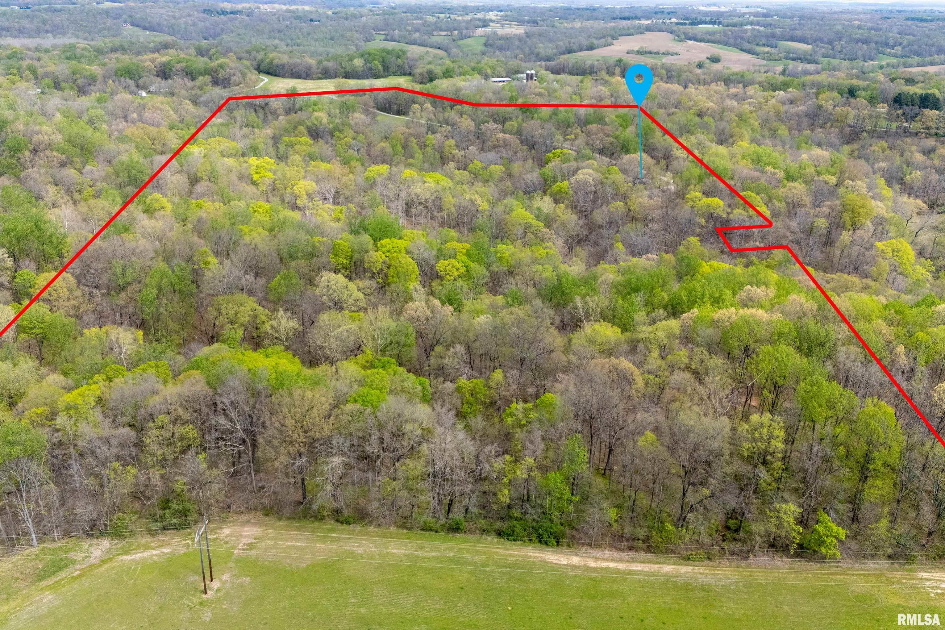 2368 Watt Hill Road Murphysboro, IL 62966 - Photo 36 of 40