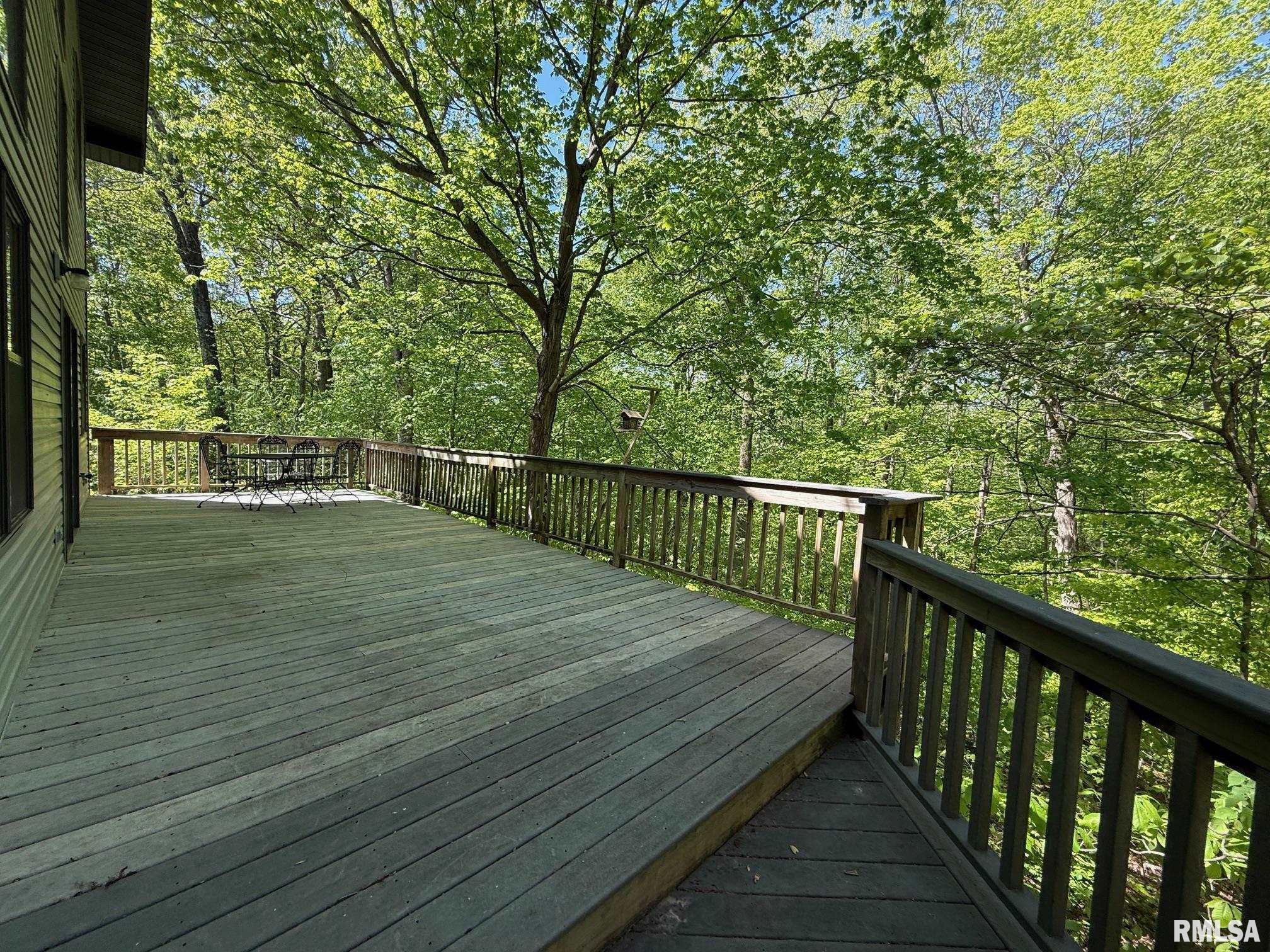 2368 Watt Hill Road Murphysboro, IL 62966 - Photo 9 of 40