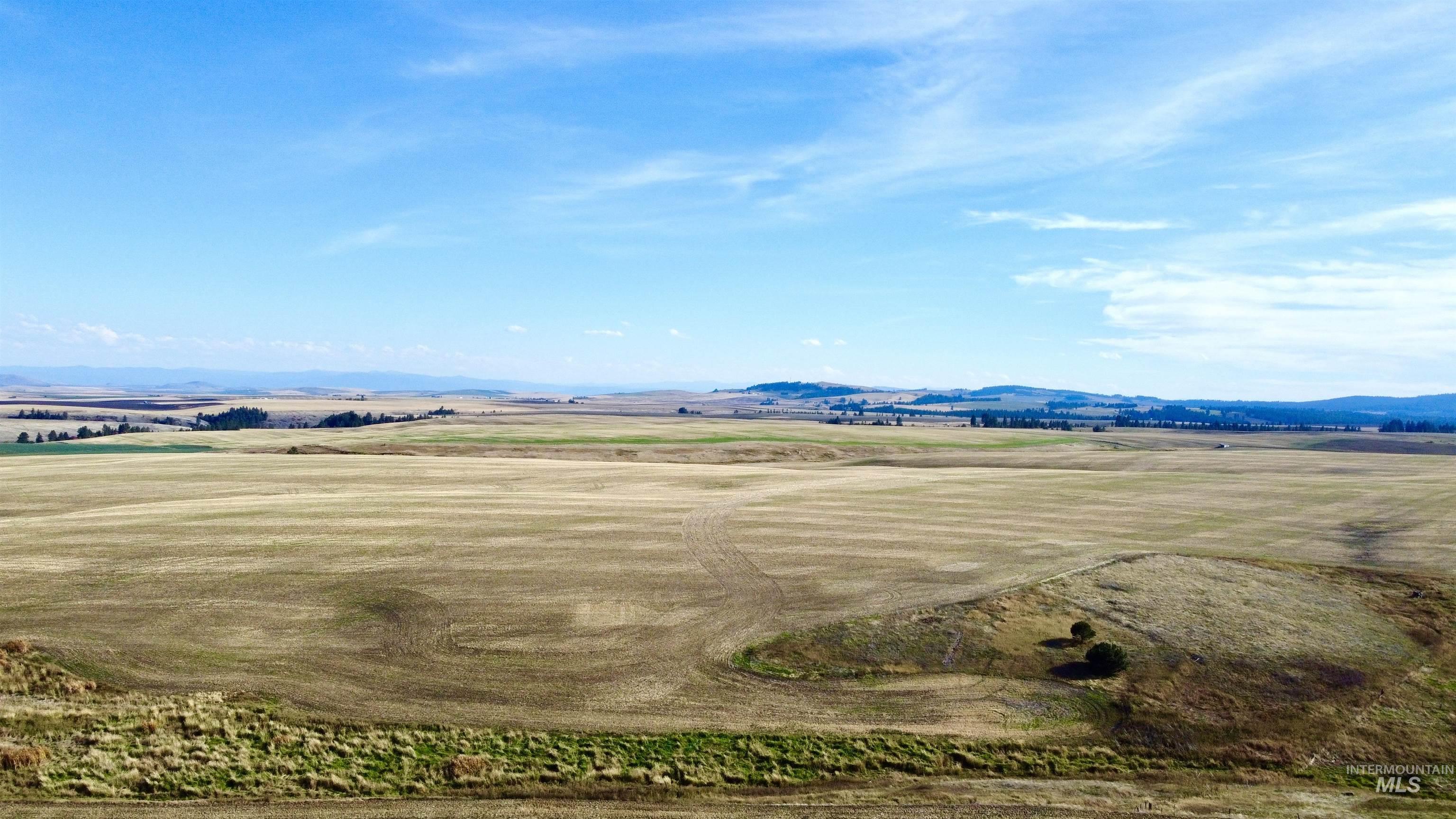 Tbd Tbd Westlake Road Craigmont, ID 83523 - Photo 4 of 6