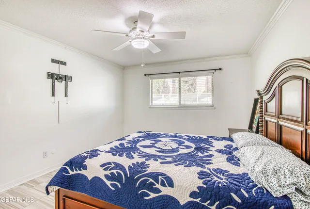 a view of a garden from a windows