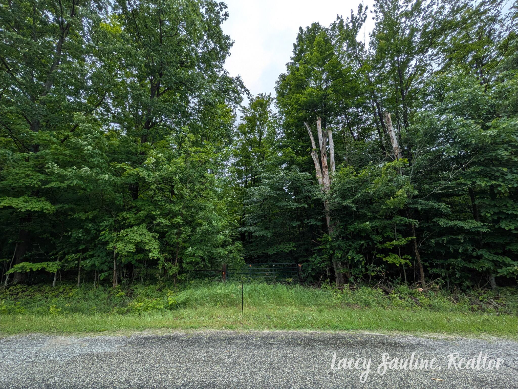 West Finkle Road Cadillac, MI 49601 - Photo 18 of 21 Lacey Sauline (5)