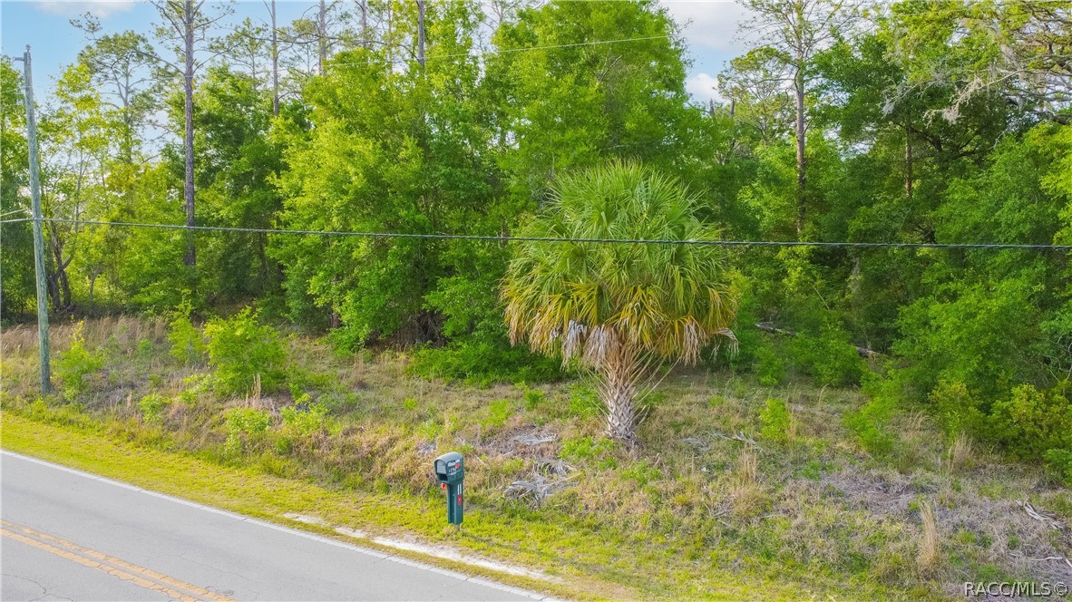 2665 East Steven Street Inverness, FL 34453 - Photo 4 of 10