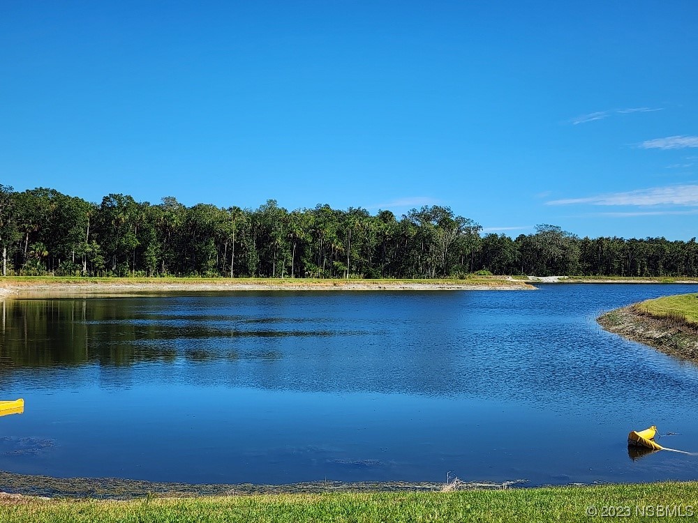 1839 Red Rock Road New Smyrna Beach, FL 32168 - Photo 19 of 23 a view of swimming pool and lake in the background