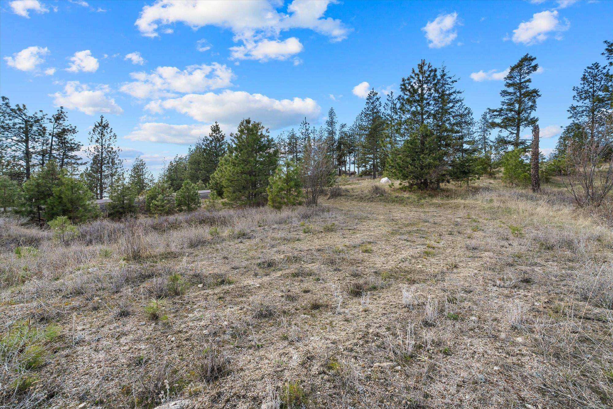 5904 West Hayden Lane Spokane, WA 99208 - Photo 9 of 29