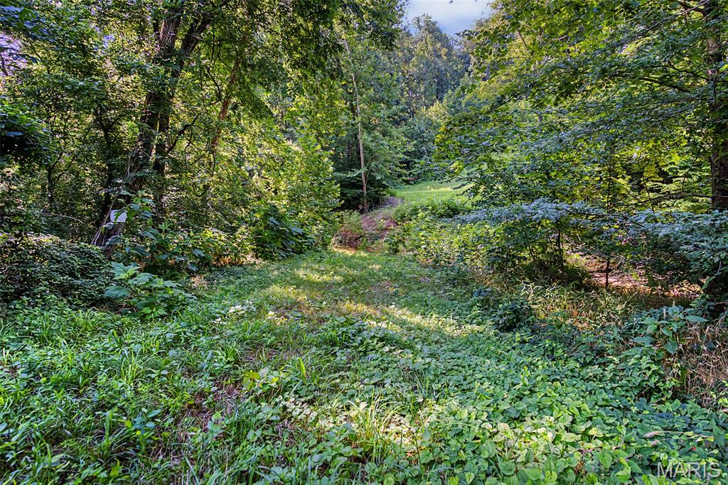 Undisclosed Undisclosed Ridge Cape Girardeau, MO 63701 - Photo 74 of 93