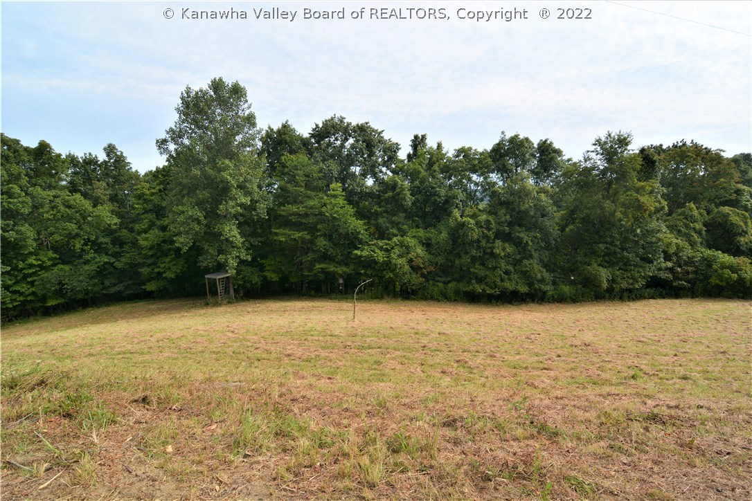 671 Crown Hill Road Leon, WV 25123 - Photo 25 of 30 Gallery Image 25