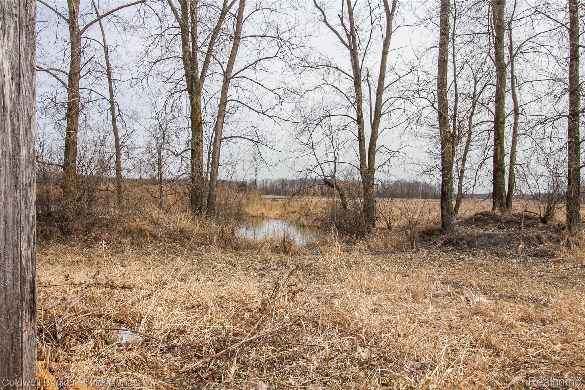 2350 Roods Lake Road Lapeer, MI 48446 - Photo 15 of 52 13.jpg
