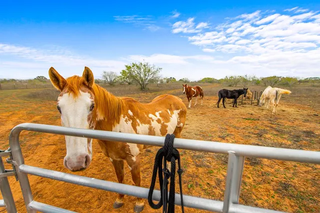 a view of swimming pool with furniture