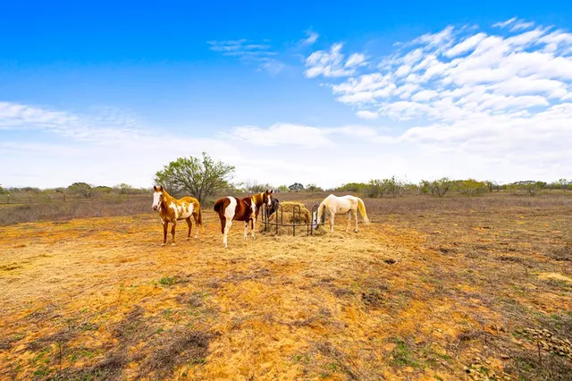 a view of an outdoor space