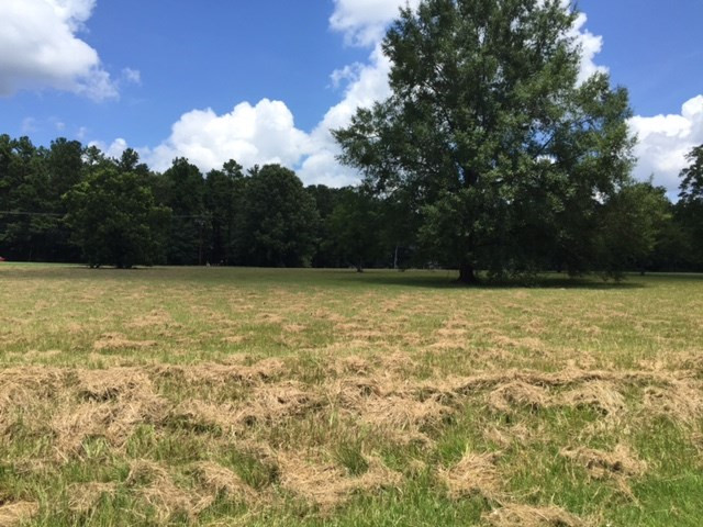 13 North Livingston Road Jackson, MS 39213 - Photo 1 of 1 Photo 1