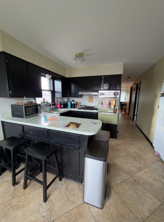 2571 Suffield Street Des Plaines, IL 60016 - Photo 5 of 10 a kitchen with kitchen island a cabinets a sink and a stove