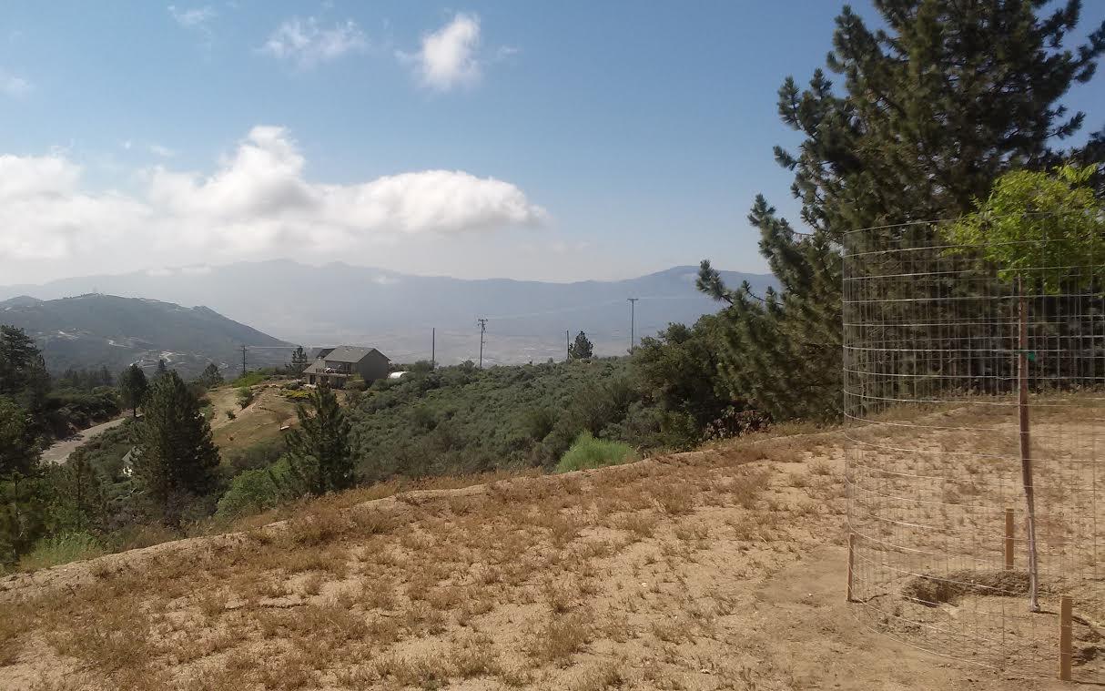 25420 Ranger Court Tehachapi, CA 93561 - Photo 13 of 13 unnamed (11)bbsy