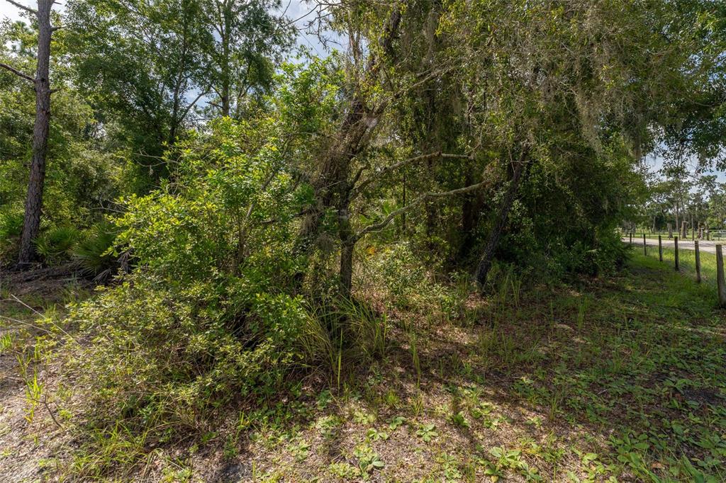 14150 Highland Road Wimauma, FL 33598 - Photo 52 of 70 Gallery Image 52