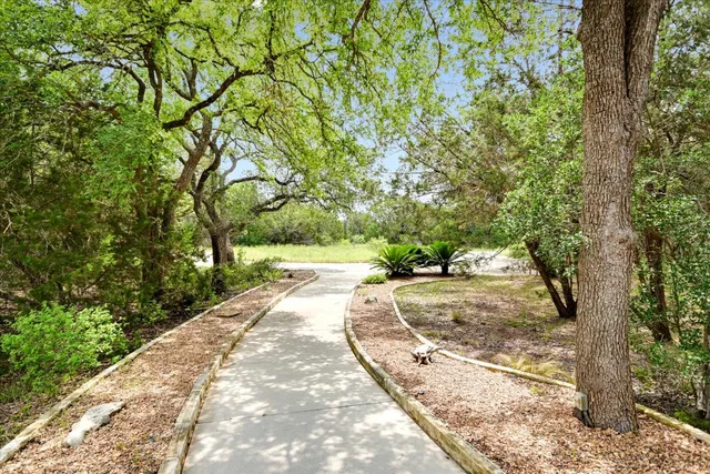 a view of a yard with plants and trees