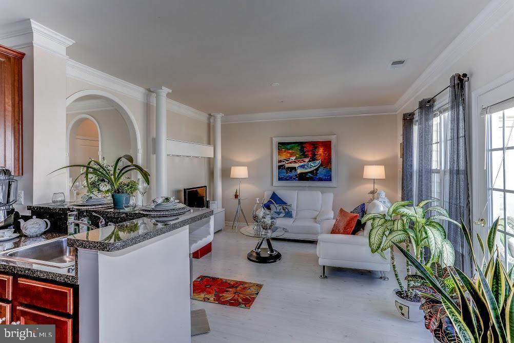 1838 B Monocacy View Circle, Unit 55B Frederick, MD 21701 - Photo 14 of 28 a living room with furniture and a potted plant