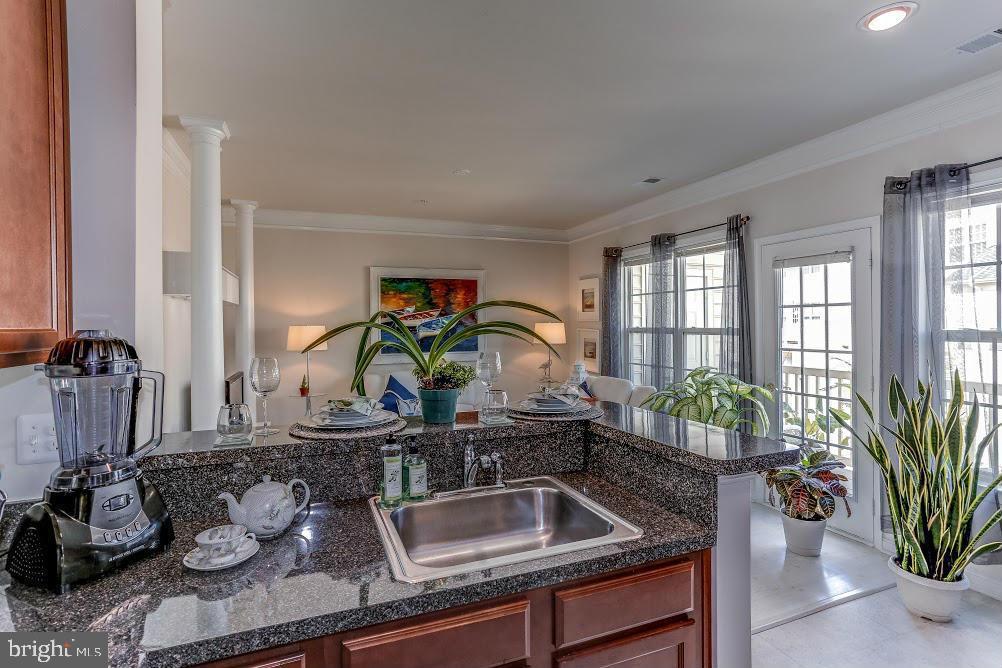 1838 B Monocacy View Circle, Unit 55B Frederick, MD 21701 - Photo 18 of 28 a kitchen with a sink and a potted plant
