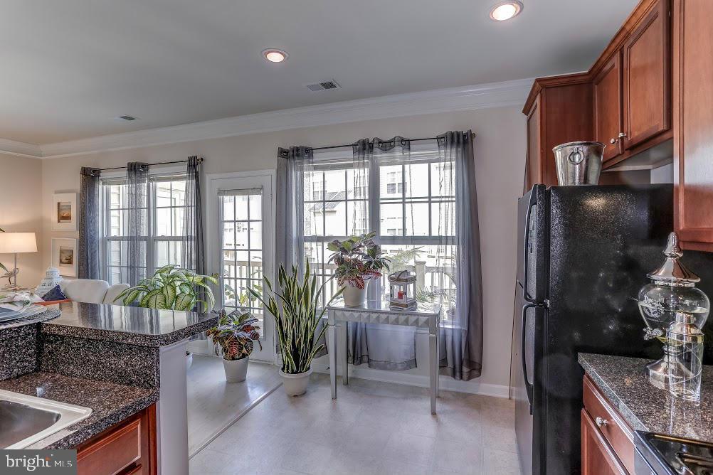 1838 B Monocacy View Circle, Unit 55B Frederick, MD 21701 - Photo 19 of 28 a living room with furniture and a potted plant