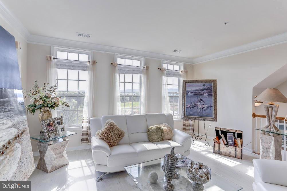 1838 B Monocacy View Circle, Unit 55B Frederick, MD 21701 - Photo 7 of 28 a living room with furniture and a potted plant