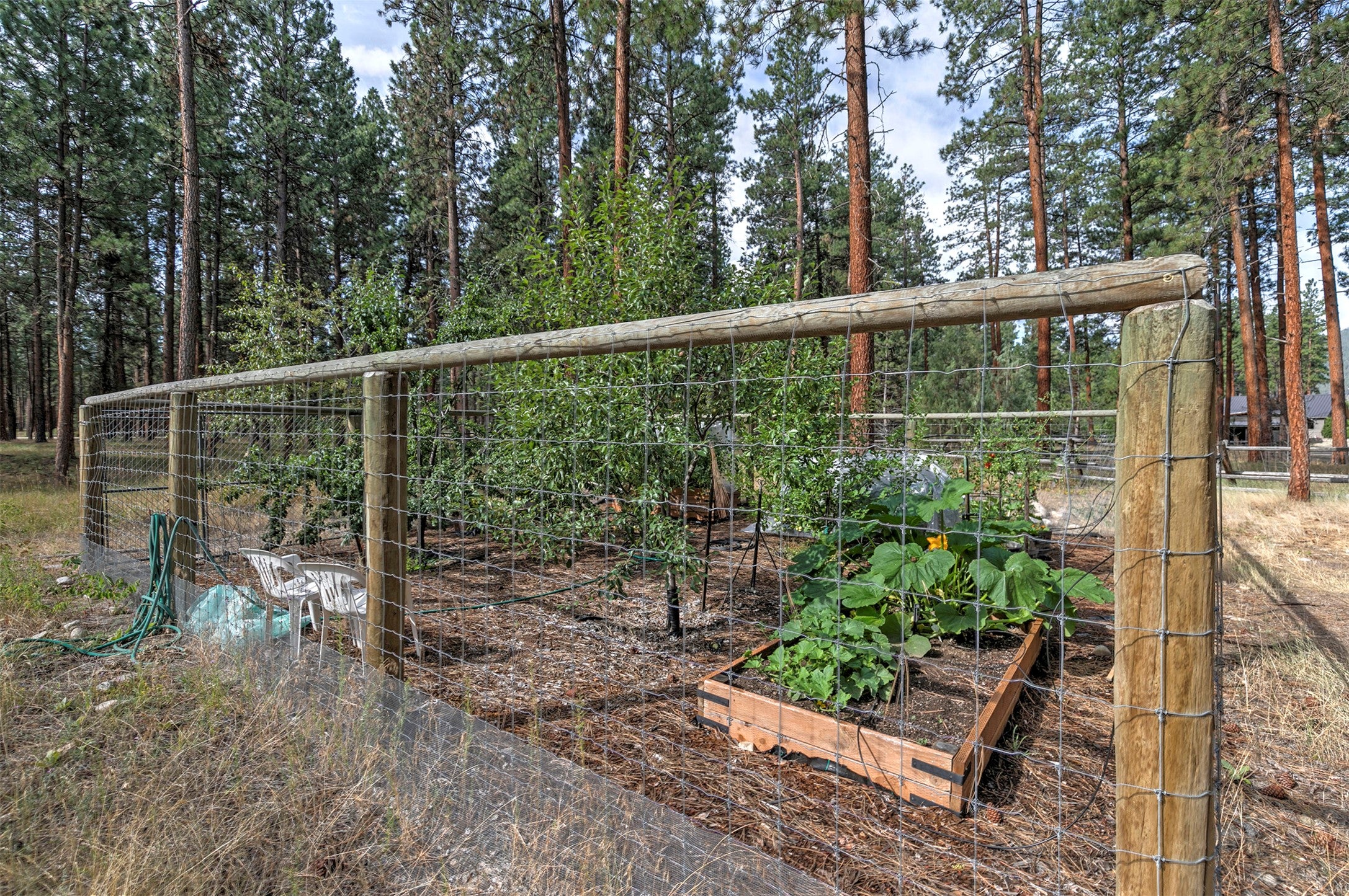 123 Mountain Goat Road Hamilton, MT 59840 - Photo 15 of 92 Gallery Image 15