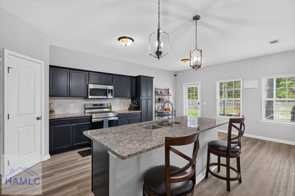 426 Akins Rnch Road Ludowici, GA 31316 - Photo 9 of 52 Gallery Image 9