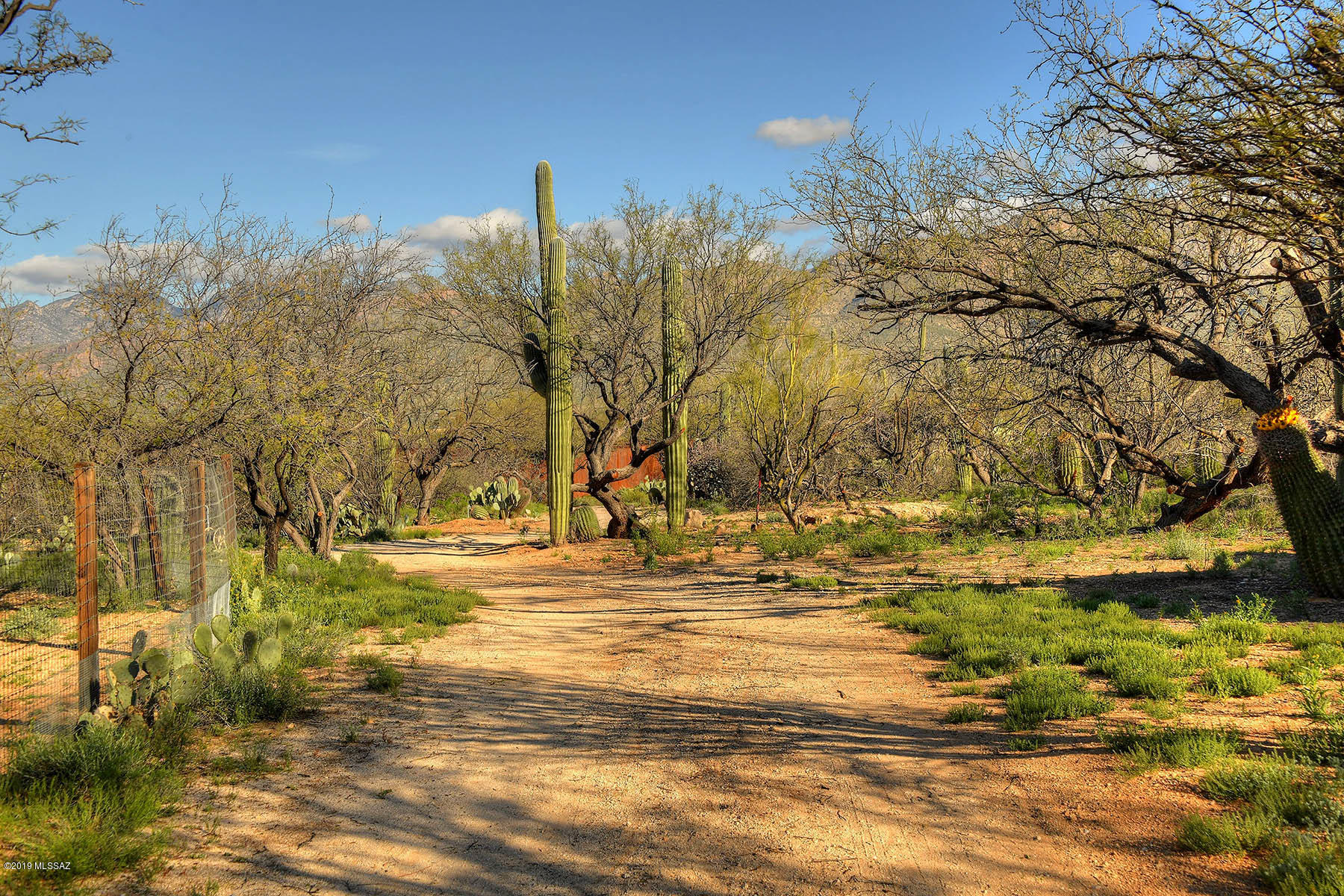12350 East Prince Road Tucson, AZ 85749 - Photo 42 of 44 Gallery Image 42
