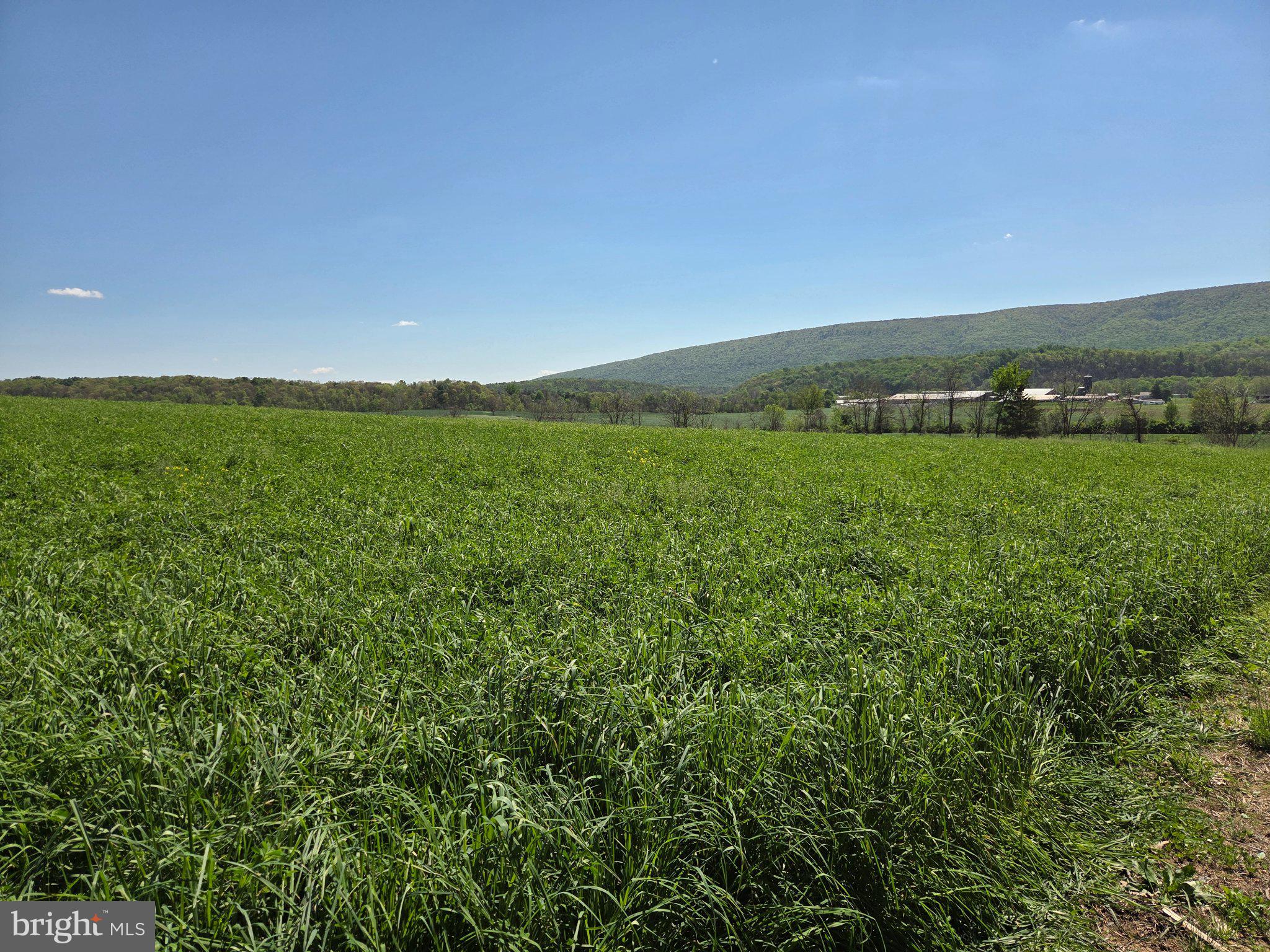 1010 Adams Grove Road Blain, PA 17006 - Photo 79 of 92 Vibrant green fields under blue skies.