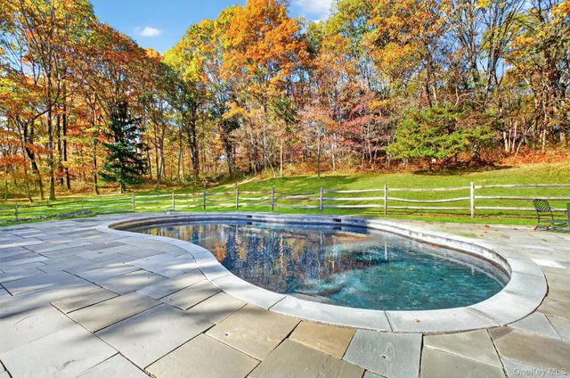 a view of a swimming pool with a yard