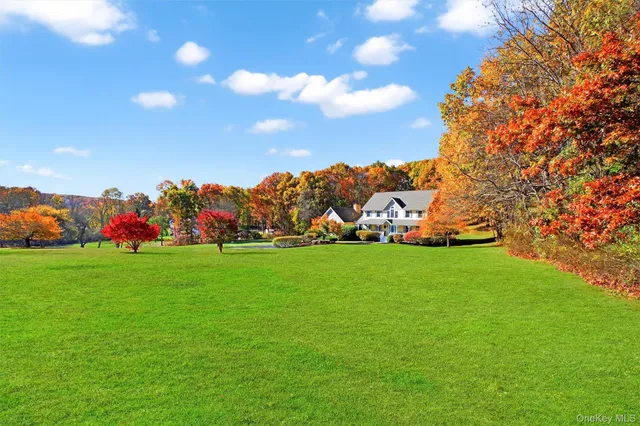 a view of a field with plants and trees