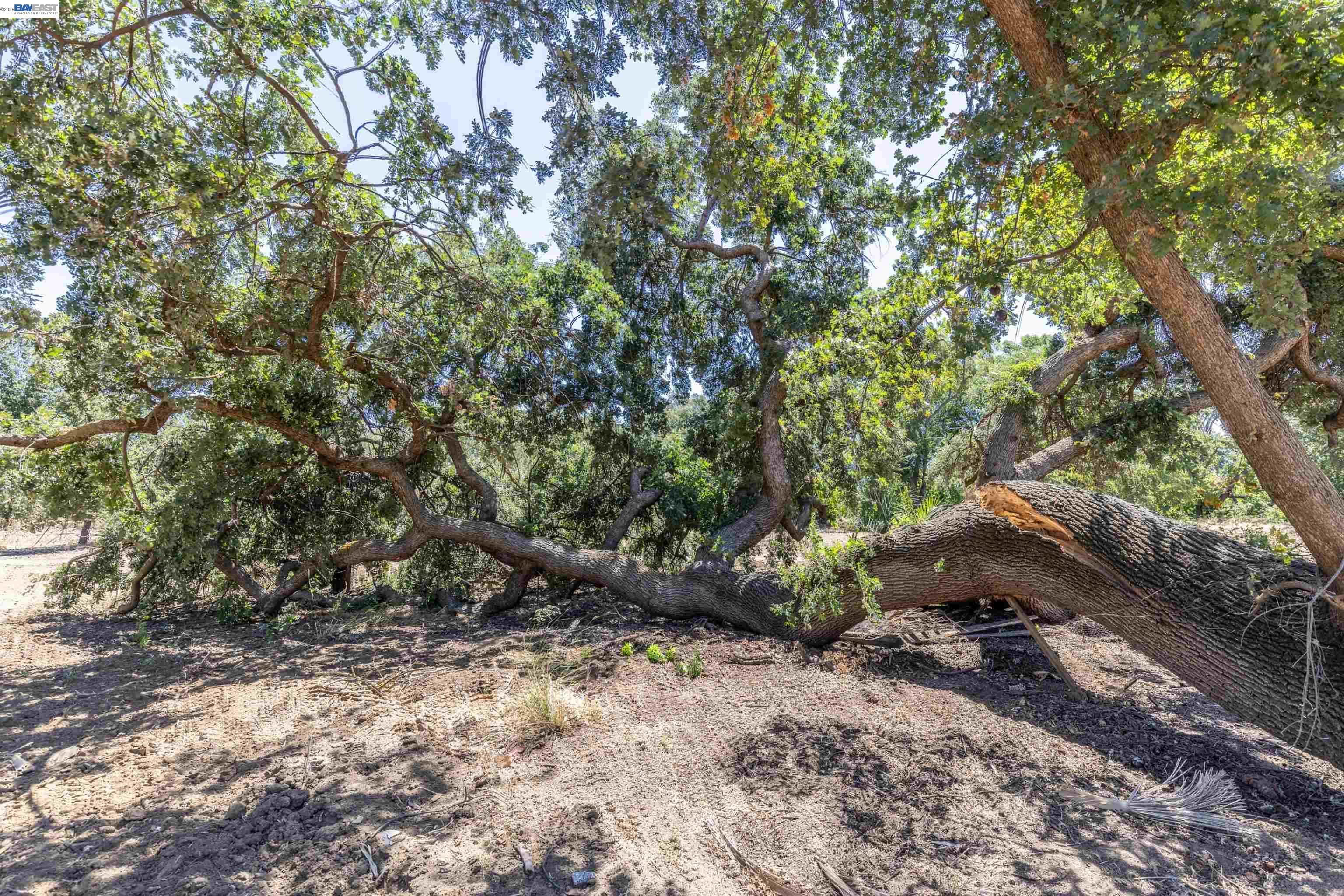 3515 Kellogg Creek Road Byron, CA 94505 - Photo 10 of 16