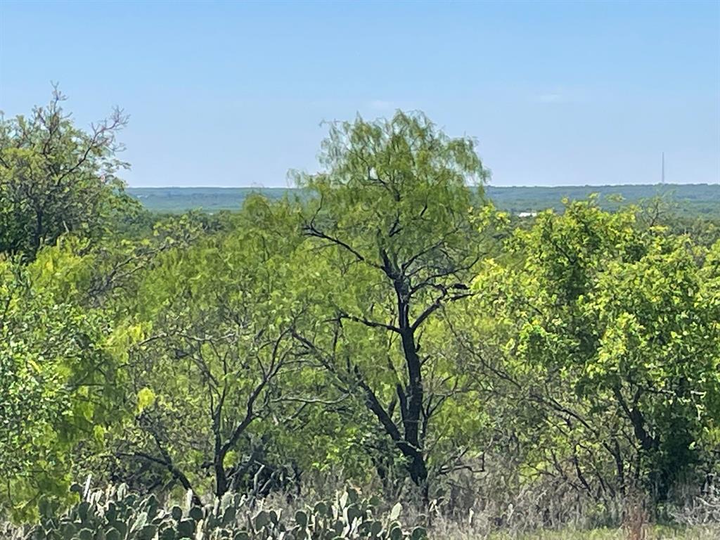 Tbd Tbd County Road Cisco, TX 76437 - Photo 10 of 12 a view of a garden