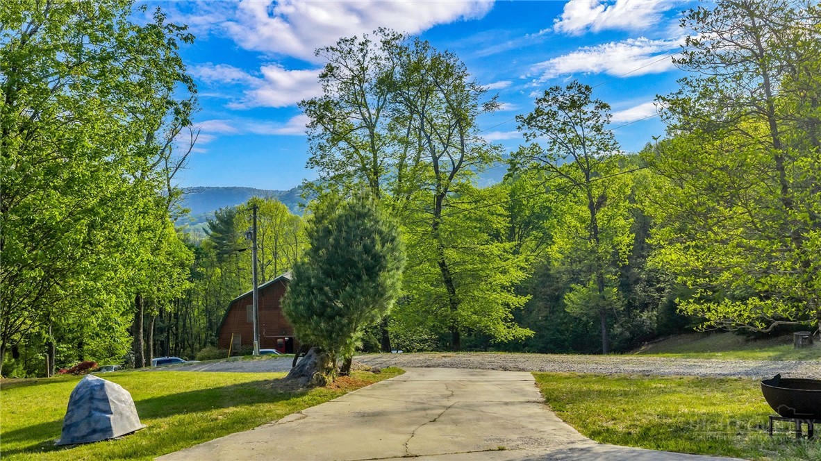 1600 Timber Ridge Road Millers Creek, NC 28651 - Photo 46 of 49