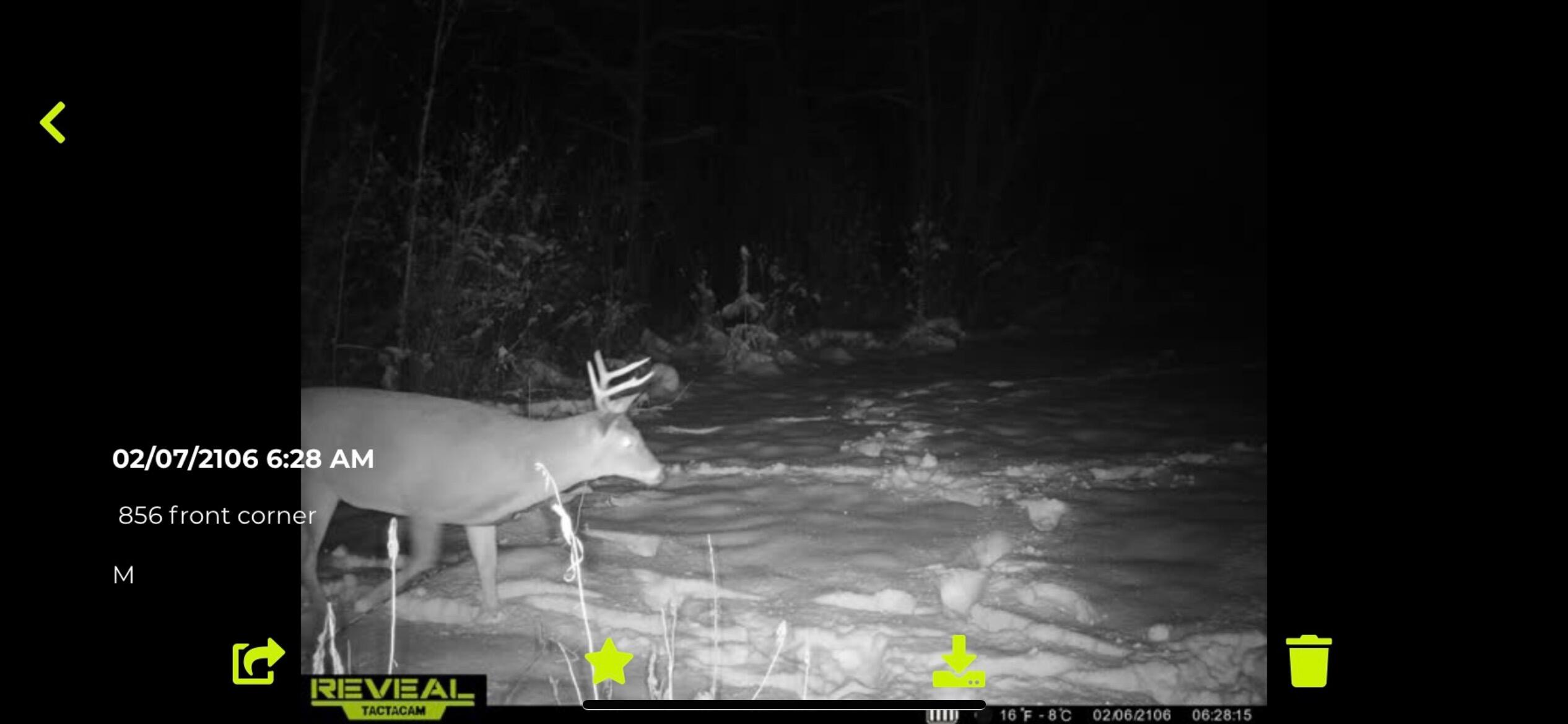 856 Wrightville Road Ashland, ME 04732 - Photo 19 of 20 IMG_2535