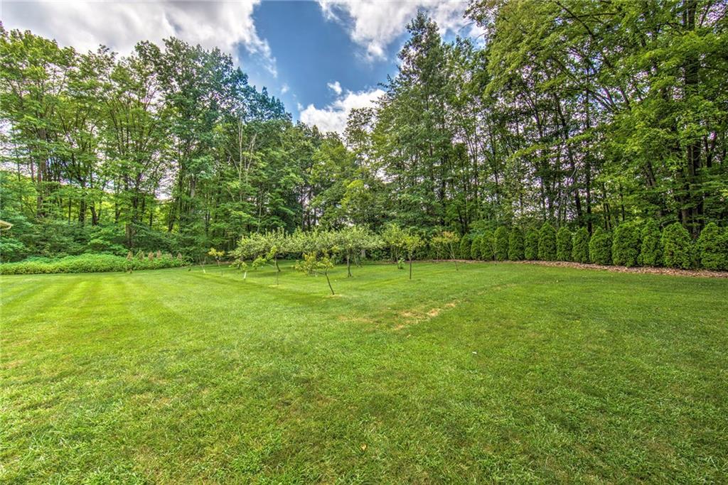 2857 Winner Road Clark, PA 16113 - Photo 25 of 25 Large flat area with fruit trees.