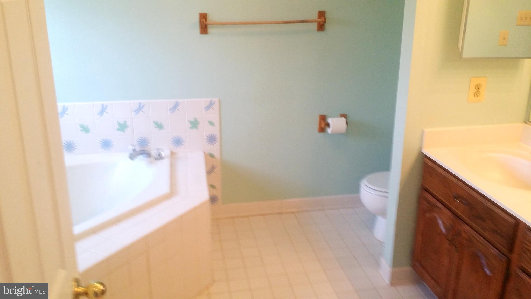 1310 Scotts Run Road McLean, VA 22102 - Photo 13 of 19 Master Bath with separate tub and shower