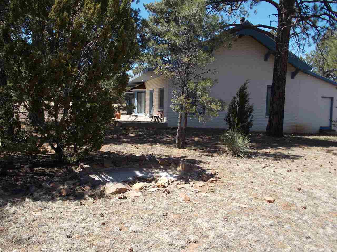 3050 Highway 277 Overgaard, AZ 85933 - Photo 3 of 23