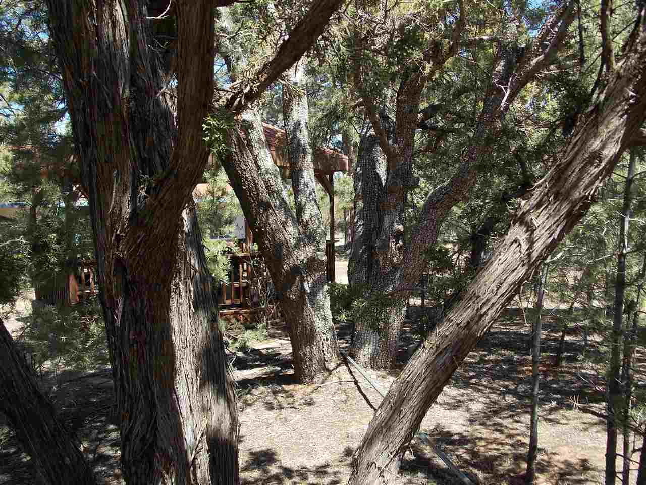 3050 Highway 277 Overgaard, AZ 85933 - Photo 5 of 23
