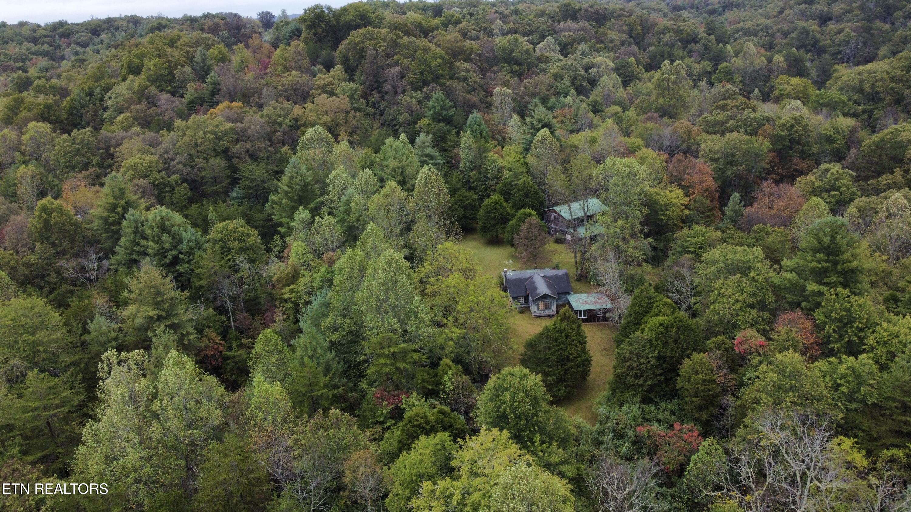 175 Young Road Robbins, TN 37852 - Photo 1 of 38 Photo Oct 07 2025, 3 46 51 PM