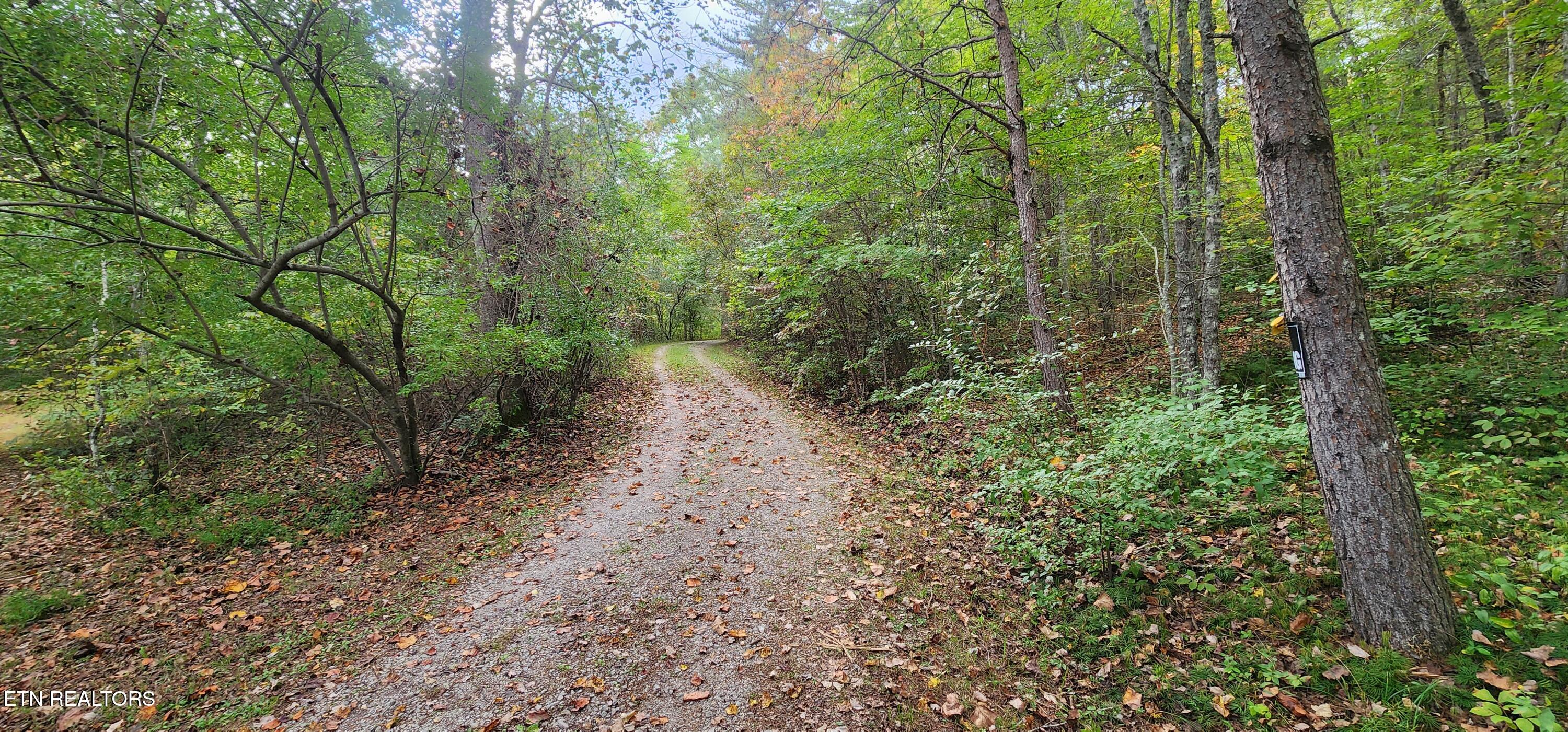 175 Young Road Robbins, TN 37852 - Photo 33 of 38 20251005_180221