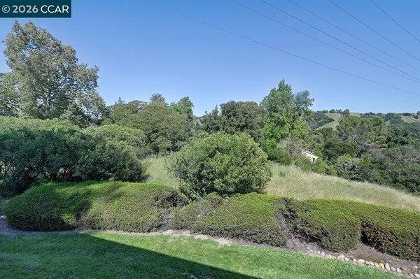 a view of a lush green outdoor space with a lake view
