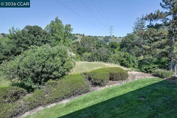 a view of a lush green space