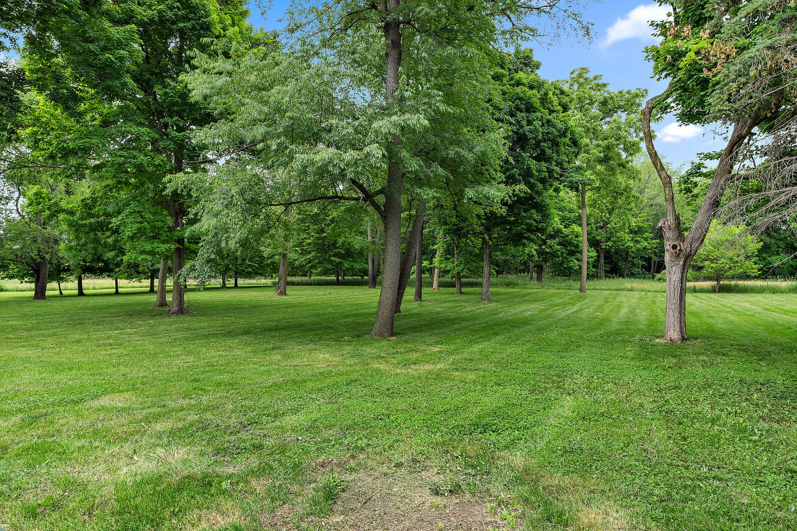 345 Bethany Road DeKalb, IL 60115 - Photo 55 of 71 a view of grassy field with benches and trees all around