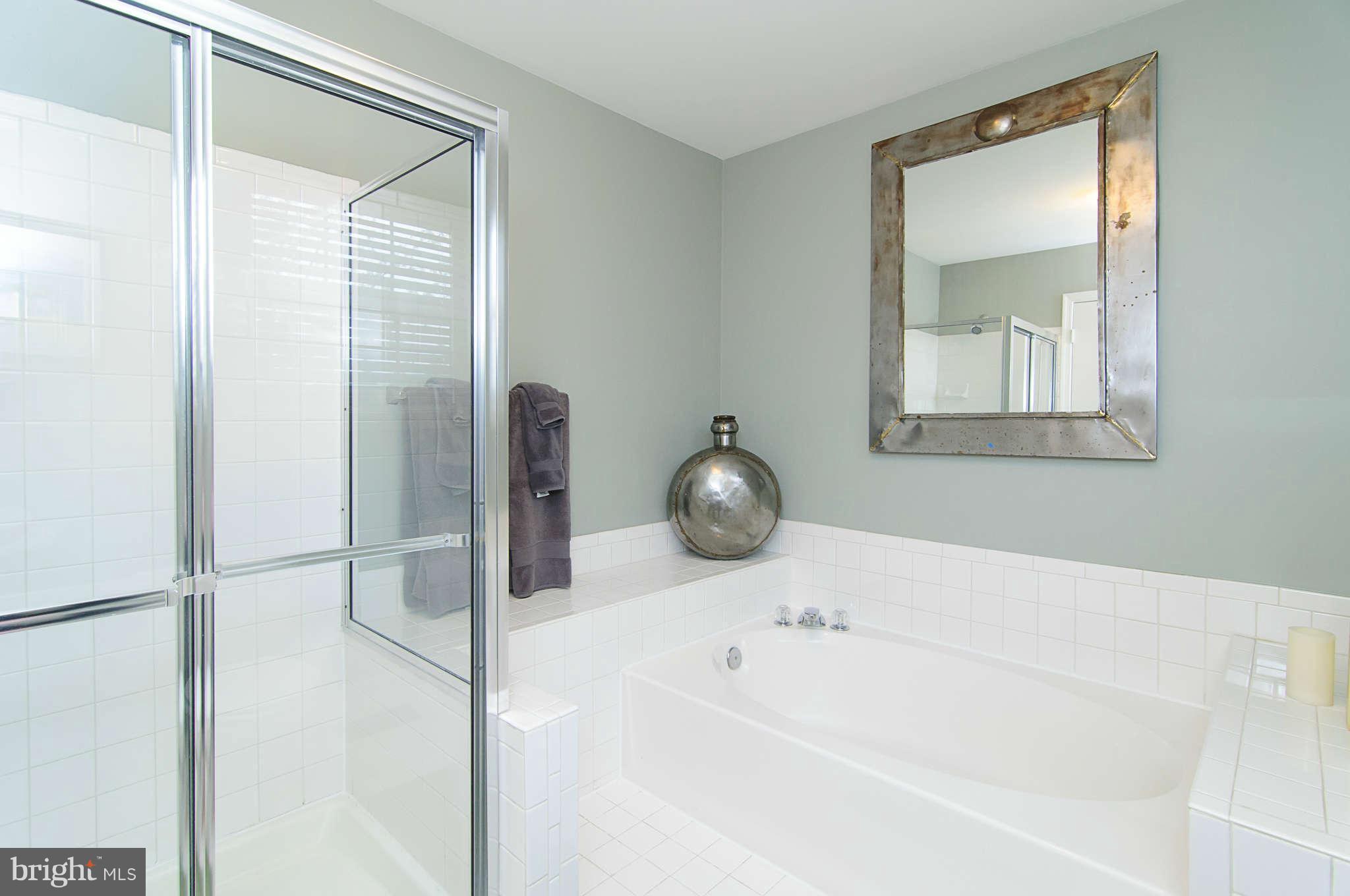 6136 Good Hunters Ride Columbia, MD 21045 - Photo 20 of 30 Super master bathroom
