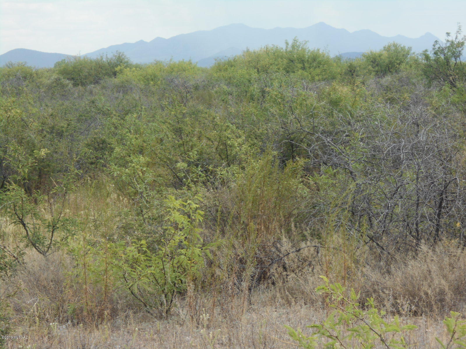 East Walnut Trail Pearce, AZ 85625 - Photo 27 of 47