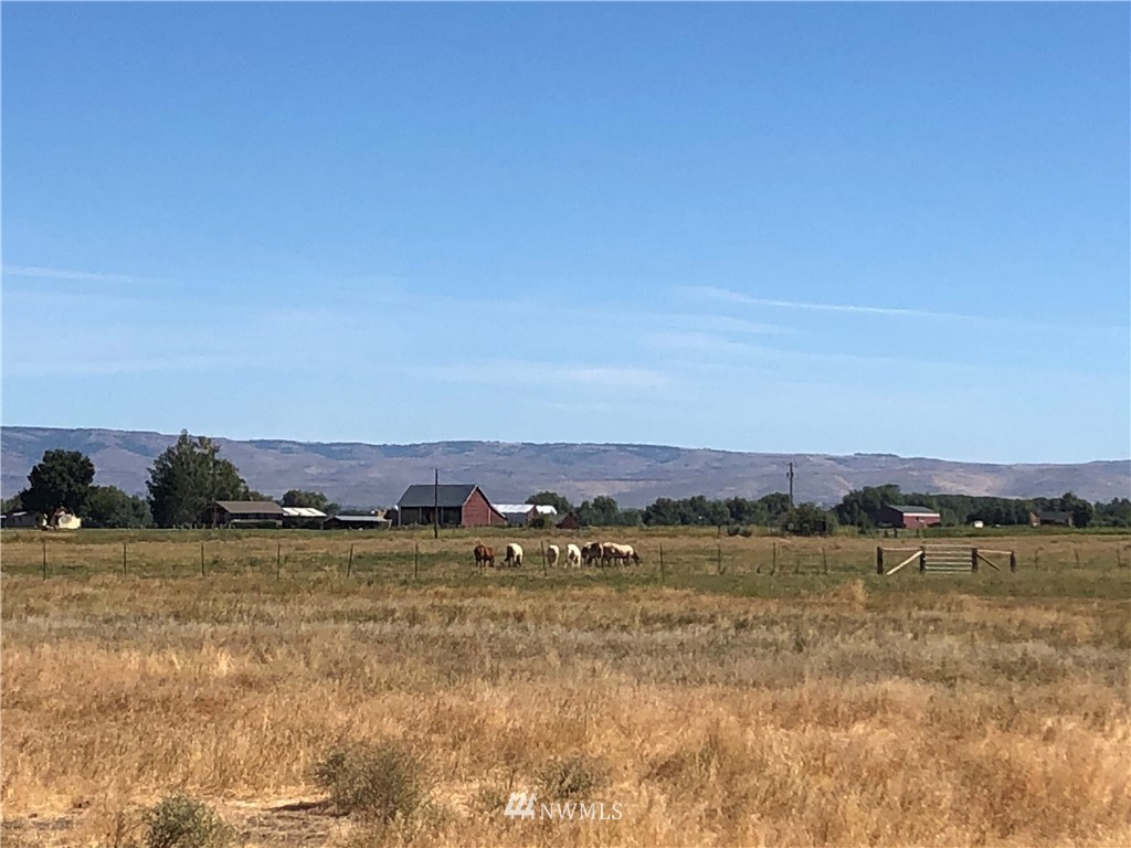 6779-xxx Number 6 Road Ellensburg, WA 98926 - Photo 13 of 15 Gallery Image 13