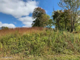 $35,000 | 616 Thompson Creek Lane, Cookeville, TN 38506