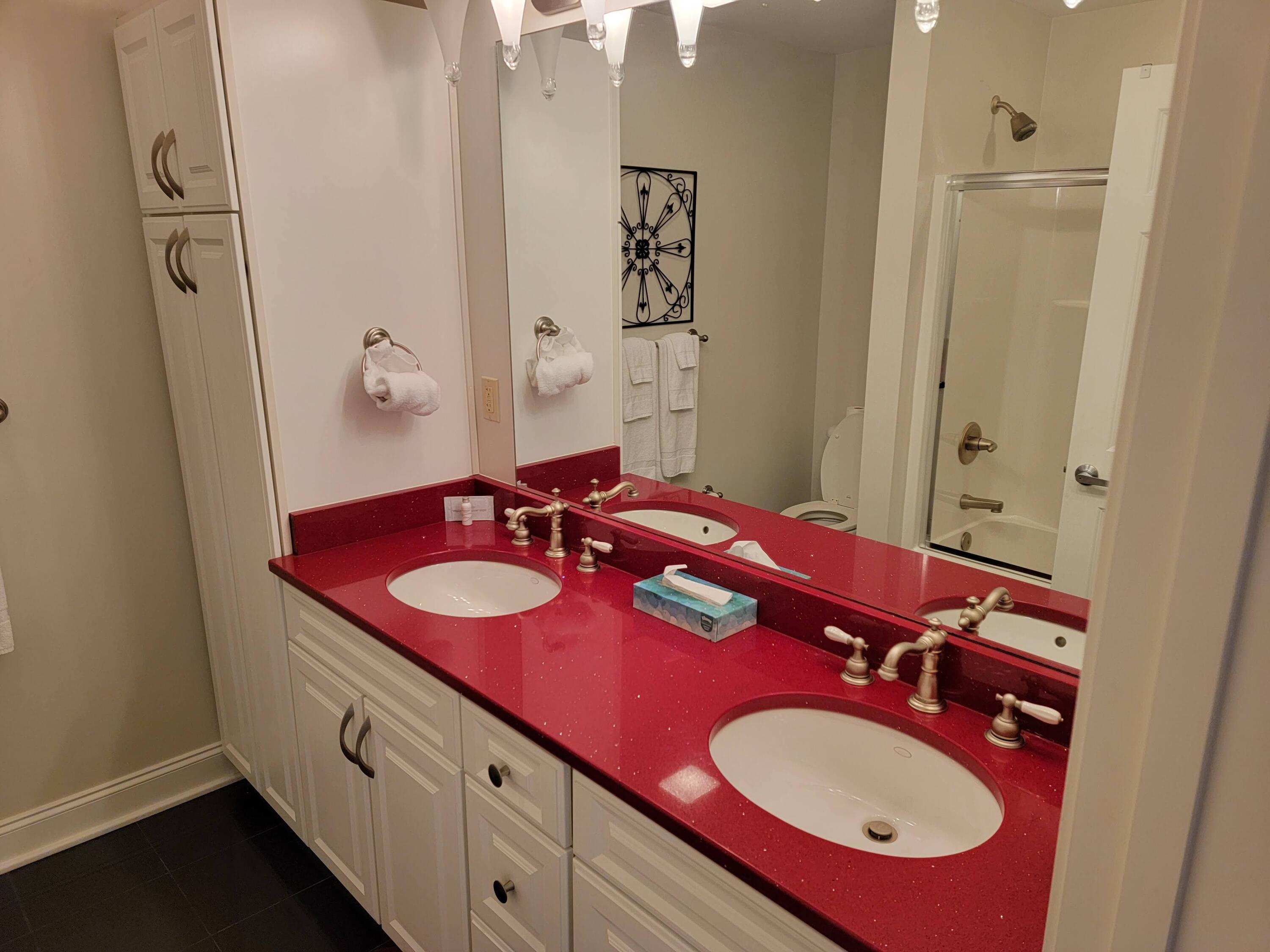 210 Raceday Center Drive, Unit 1106 Bristol, TN 37620 - Photo 12 of 33 Master Btahroom