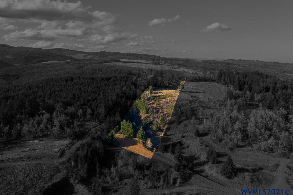 17900 Richardson (next To) Road Dallas, OR 97338 - Photo 1 of 16 a view of outdoor space and yard